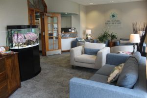 cosmetic dentist Dearborn MI